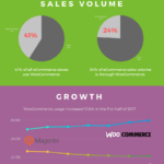 WooCommerce Statistics Infographic