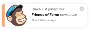 Mailchimp fomo